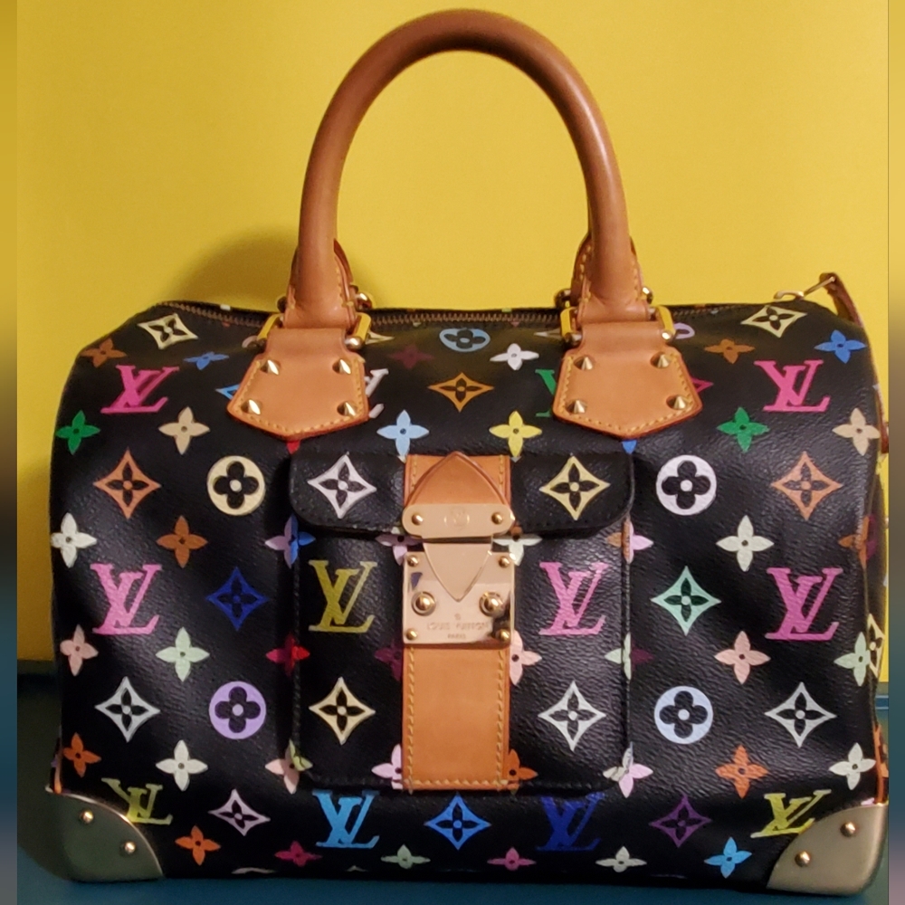 Louis Vuitton Multicolor Speedy
